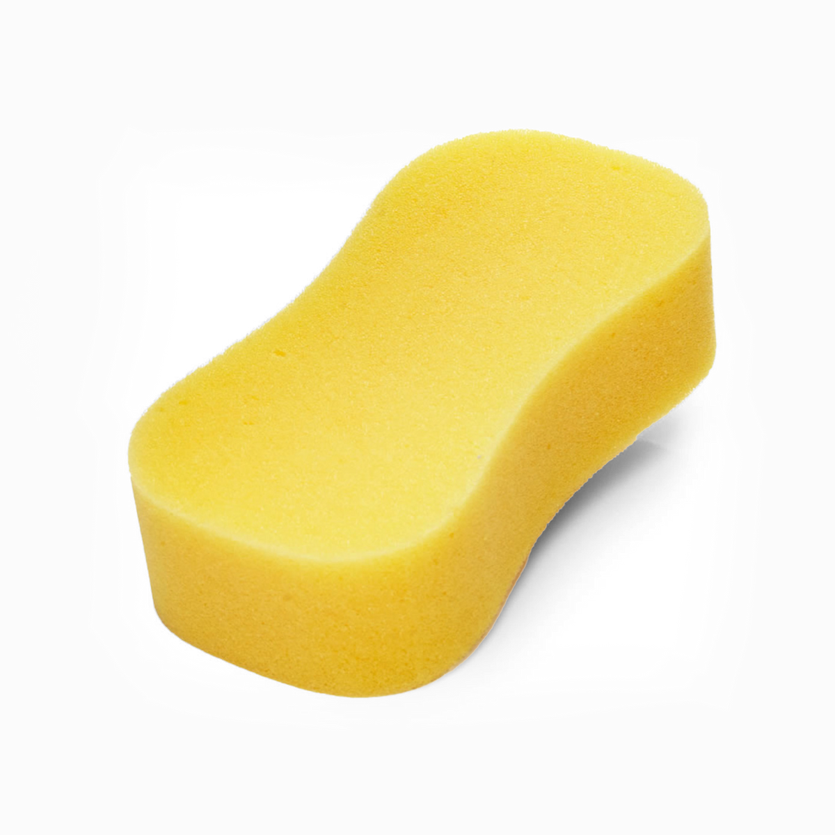 Jumbo Sponge